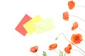 Three envelopes and red poppies on white background.