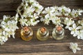 Three essential oil bottles with white blossoms on a wooden rustic table Royalty Free Stock Photo