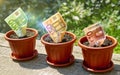 Three euro banknotes in flowerpots