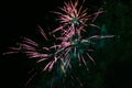 Three explosions of festive fireworks in yellow-pink color, with a green haze, against the background of the night sky Royalty Free Stock Photo