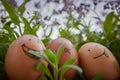 Three expressive hand drawn smiley easter eggs in a flowery garden background