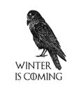 Three eyed raven and Winter Is Coming inscription. Mysterious black bird from dreams, Game of Thrones novel and TV Royalty Free Stock Photo