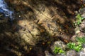 Three eyes cave in Santo Domingo, los Tres Ojos national park, Dominican Republic. Outdoor travel background Royalty Free Stock Photo