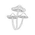 Three fabulous mushrooms. Vector hand drawn contour