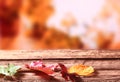 Three faded colorful Autumn or fall leaves