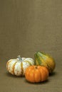 Three Fall Gourds (Tall) Royalty Free Stock Photo