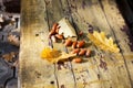 Three fallen yellow oak tree leaves and red acorns on old wooden board background close up, golden autumn foliage on bench in park Royalty Free Stock Photo