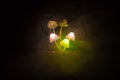 Three fantasy glowing mushrooms in mystery dark forest close-up. Beautiful macro shot of magic mushroom or three souls lost in ava Royalty Free Stock Photo