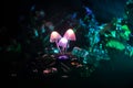 Three fantasy glowing mushrooms in mystery dark forest close-up. Beautiful macro shot of magic mushroom or three souls lost in ava