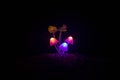 Three fantasy glowing mushrooms in mystery dark forest close-up. Beautiful macro shot of magic mushroom or three souls lost in ava Royalty Free Stock Photo