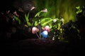 Three fantasy glowing mushrooms in mystery dark forest close-up. Beautiful macro shot of magic mushroom or three souls lost in ava Royalty Free Stock Photo