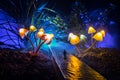 Three fantasy glowing mushrooms in mystery dark forest close-up. Beautiful macro shot of magic mushroom or three souls lost in Royalty Free Stock Photo