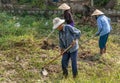 Three Farmers hack with hoe in dirt in Nha Trang, Vietnam