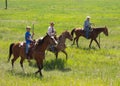 Cowboys rounding up cattle as seen from the road in wyoming