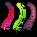 Three feather style, neon, on black background, art, clip art