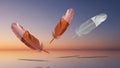 Three Feathers with Copper and Silver Dipped Tips Floating Keywords: feather, floating, dipping Royalty Free Stock Photo