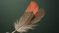 Three feathers are displayed against a dark green background Royalty Free Stock Photo