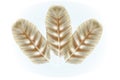 Three feathers Royalty Free Stock Photo