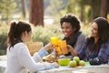 Three female friends at a picnic table making a toast