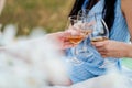 Three female hands with glasses of white wine. Toast, congratulations on an outdoor picnic. The concept of relaxation Royalty Free Stock Photo