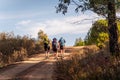 Three female pilgrims with backpacks on a path of crushed stones on the Via de la Plata to Santiago de Compostela Royalty Free Stock Photo