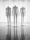 Three female plastic fiber mannequins 12