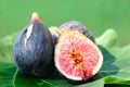 Three Figs on fig leaf Royalty Free Stock Photo