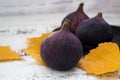 Three figs on a white blurred background, among the yellow leaves. Royalty Free Stock Photo