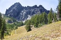 Three Fingered Jack Mountain Royalty Free Stock Photo