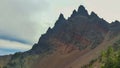 Three fingered jack in oregon Royalty Free Stock Photo