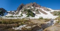 Three Fingered Jack