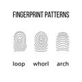 Three fingerprint types on white background.