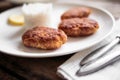 Three fish cutlet on white plate with rice Royalty Free Stock Photo