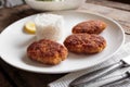 Three fish cutlet on white plate with rice Royalty Free Stock Photo