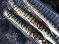 Three fish on grill - outdoor cooking Royalty Free Stock Photo