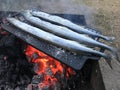 Three fish on grill - outdoor cooking Royalty Free Stock Photo