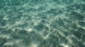 Three fish in group underwater near sand with sun reflections