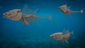 Three fish skeletons swimming under the sea Royalty Free Stock Photo