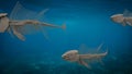 Three fish skeletons swimming under the sea