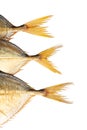Three fish tails isolated