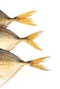 Three fish tails isolated Royalty Free Stock Photo