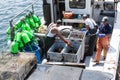 Three fishermen sorting live lobsters on a fishing boat in Maine Royalty Free Stock Photo