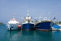 Three fishing boats in the port of Vrsar Royalty Free Stock Photo