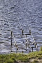 Three fishing rods by the pond