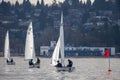 Three FJ sailboats competing in a regatta sail into shore Jericho Beach