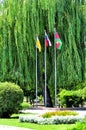 Three flags in the Park Royalty Free Stock Photo