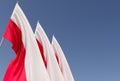 Three flags of Poland on a flagpole on a blue background. Place for text. The flag is unfurling in wind. Polish. Europe, Warsaw.