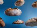 Three floating bread loaves of different sizes against a gradient blue backdrop Depth of field, focus on everyday objects Royalty Free Stock Photo