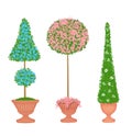 Three Floral Topiaries