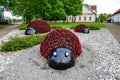 Three flower beds in the form of insect figures ladybugs